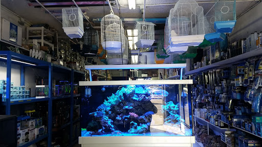 Tropical Fish Store «Rainbow Aquarium and Pond», reviews and photos, 9066 Woodman Ave, Pacoima, CA 91331, USA