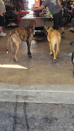 Motorcycle Dealer «Steves Cycles», reviews and photos, 839 N Cocoa Blvd, Cocoa, FL 32922, USA