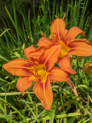 Event Venue «The Vineyards at Aquebogue», reviews and photos, 978 NY-25, Riverhead, NY 11901, USA