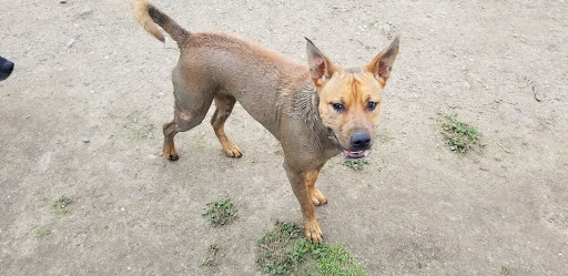 Pet Supply Store «Pet Food Express», reviews and photos, 500 Center Ave, Martinez, CA 94553, USA