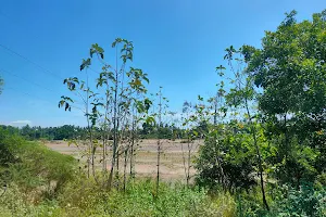 Vellaru River Reservoir image