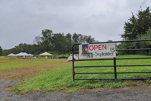 Tourist Attraction «Sussex County Sunflower Maze», reviews and photos, 101 Co Rd 645, Sandyston, NJ 07826, USA