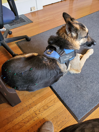 2123 E 7th St, Charlotte, NC 28204, USA