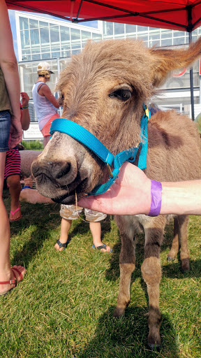 Science Museum «Science City», reviews and photos, 30 W Pershing Rd, Kansas City, MO 64108, USA