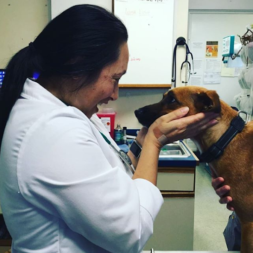 Greenland Veterinary Hospital