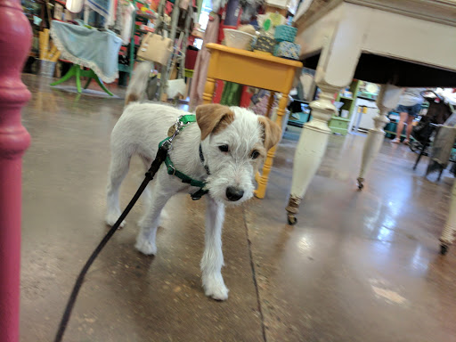 Gift Shop «Catching Fireflies», reviews and photos, 419 Detroit St, Ann Arbor, MI 48104, USA