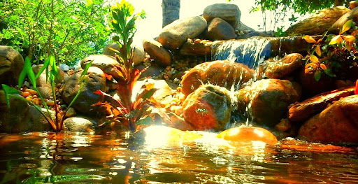 Pet Store «Fancy Tails Fish Farm», reviews and photos, 2324 US Hwy 27 S, Sebring, FL 33872, USA