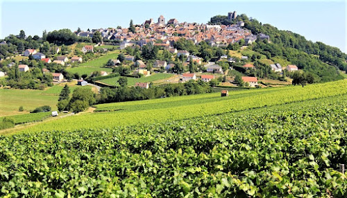 SANCERRE IMMOBLIER CENTRE VAL DE LOIRE à Sancerre