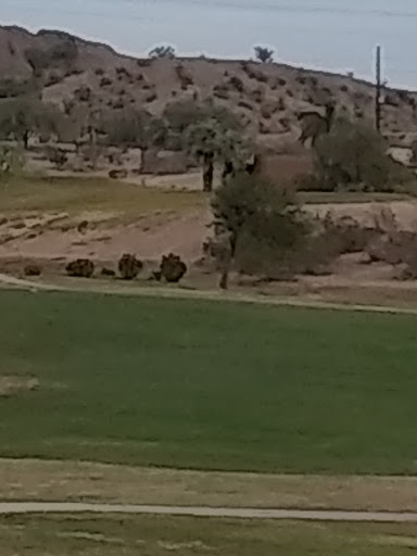 Public Golf Course «Rolling Hills Golf Course», reviews and photos, 1415 N Mill Ave, Tempe, AZ 85281, USA