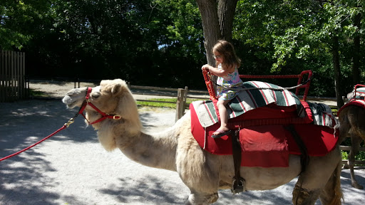 Golf Course «A.H. Blank Golf Course», reviews and photos, 808 County Line Rd, Des Moines, IA 50320, USA