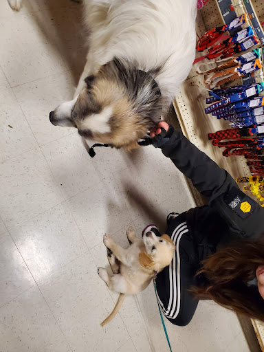 Pet Supply Store «PetSmart», reviews and photos, 4465 US-14, Crystal Lake, IL 60014, USA