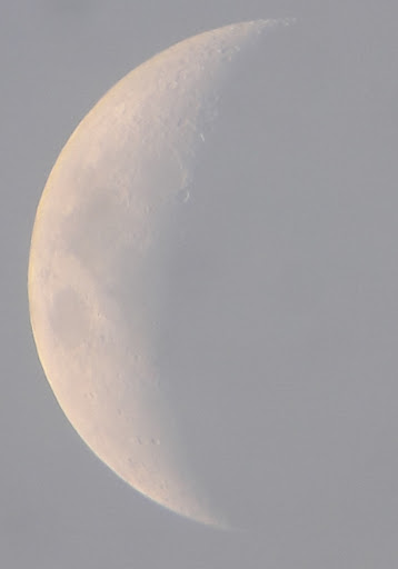 Observatory «UMD Observatory», reviews and photos, 3202 Metzerott Rd, College Park, MD 20740, USA