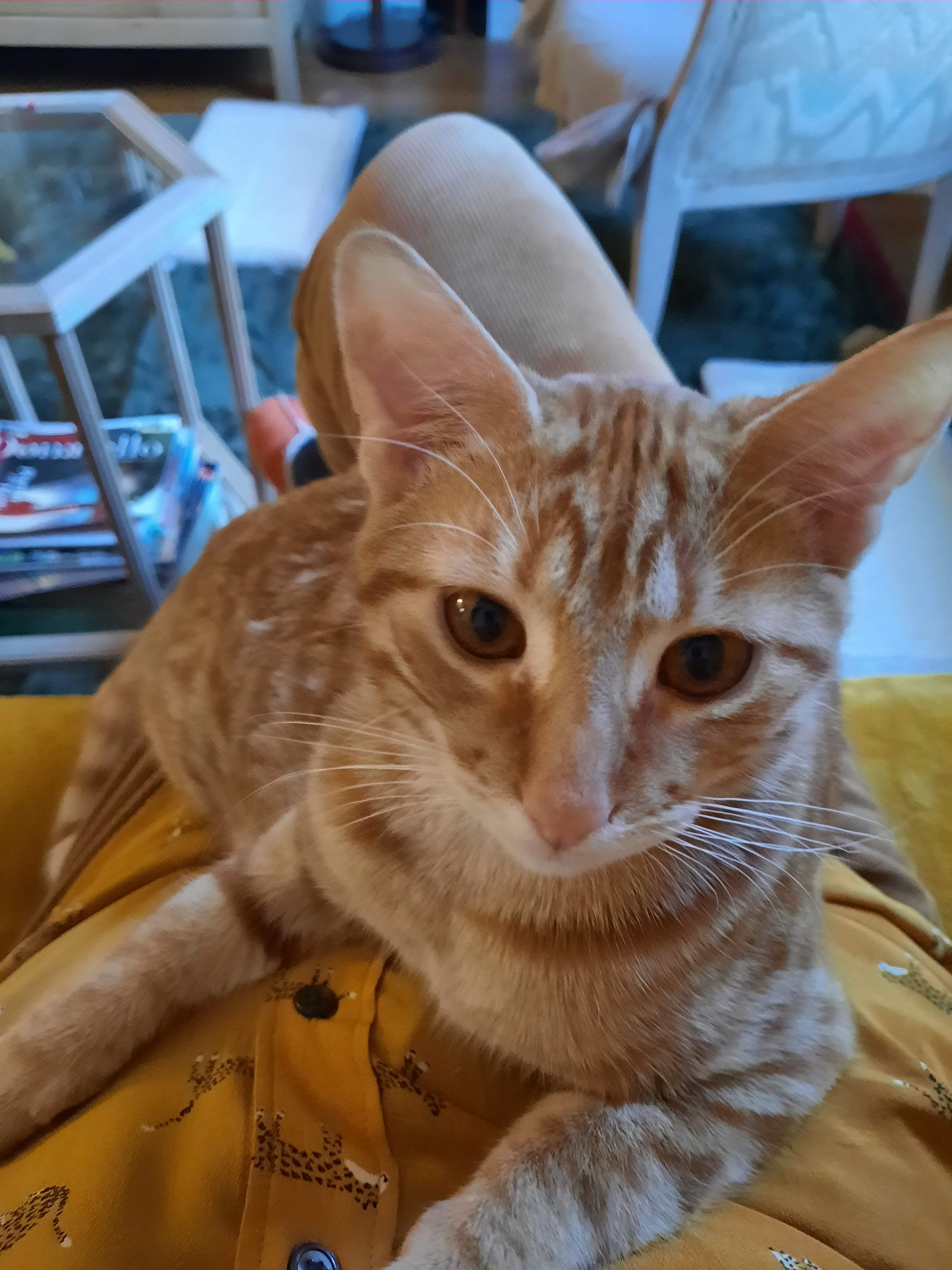 Photo n° 2 de l'avis de Evelyne.o fait le 30/11/2023 à 17:05