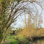 Photo n° 1 de l'avis de Moea.r fait le 31/03/2024 à 17:51 pour Par Hasard ou pas à Saint-Martin-aux-Chartrains