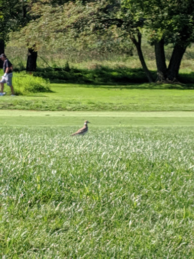 Golf Course «Galloping Hill Park and Golf Course», reviews and photos, 3 Golf Dr, Kenilworth, NJ 07033, USA