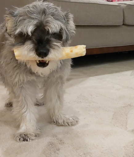 Pet Supply Store «Mud Bay», reviews and photos, 2611 California Ave SW, Seattle, WA 98116, USA