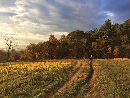 Bicycle Store «Bicycle Depot», reviews and photos, 15 Main St, New Paltz, NY 12561, USA