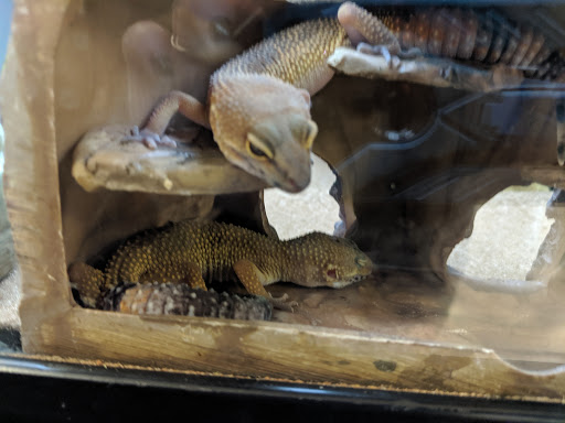 Pet Supply Store «Petco Animal Supplies», reviews and photos, 1901 Madison Ave #610, Mankato, MN 56001, USA