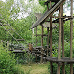 Photo n° 35 de l'avis de Sébastien. fait le 31/05/2021 à 20:21 pour Zoo d'Amnéville à Amnéville