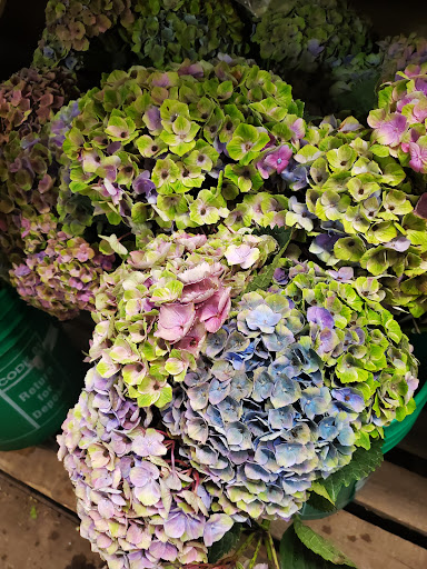 Florist «Sieck-Wright Floral Products», reviews and photos, 231 Monmouth St, Hightstown, NJ 08520, USA