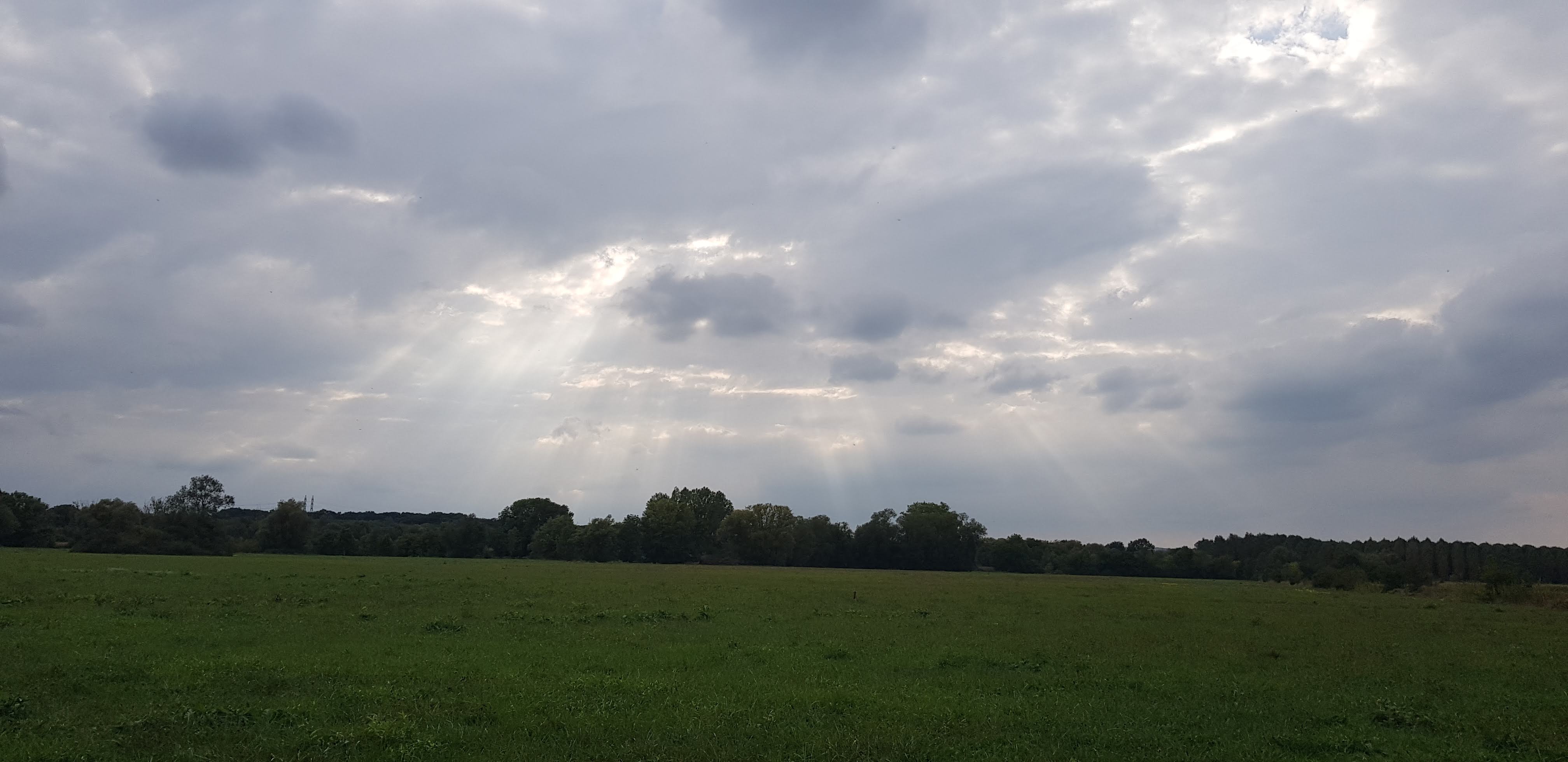 Photo n° 3 de l'avis de Thiry.h fait le 26/10/2018 à 16:26