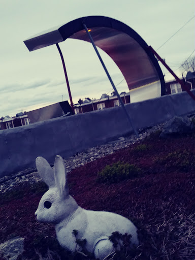 Florist «Stein Your Florist Co.», reviews and photos, 7059 Frankford Ave, Philadelphia, PA 19135, USA