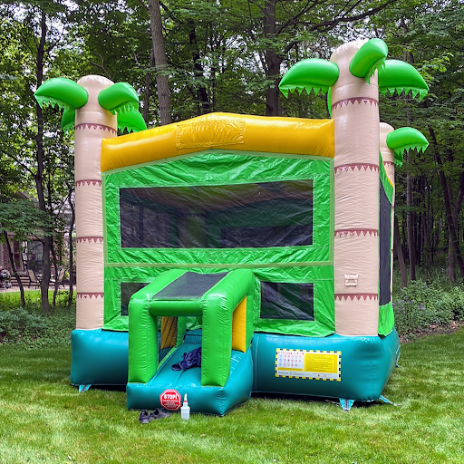 Bouncy castle hire Ann Arbor