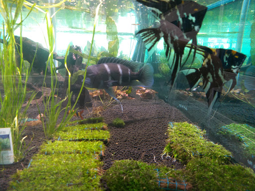 Barber Shop «Southland Barber Styling Shop», reviews and photos, 983 W State Rd 84, Fort Lauderdale, FL 33315, USA