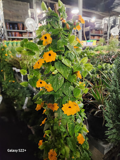 The Home Depot image
