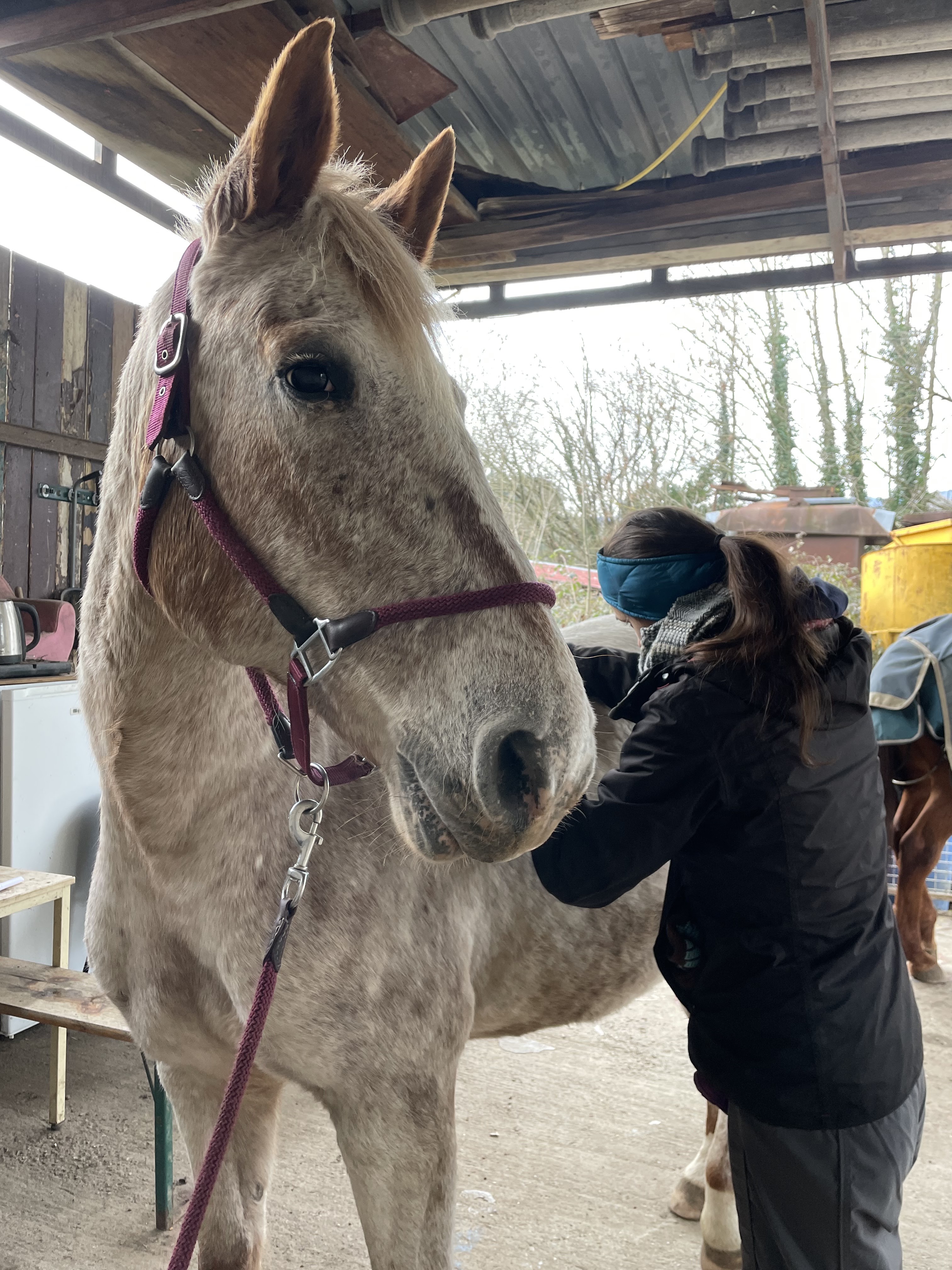 Photo n° 1 de l'avis de Anne-Cécile.E fait le 19/12/2022 à 20:04