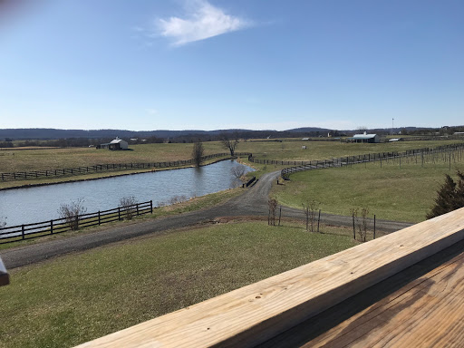 Winery «Winery 32», reviews and photos, 15066 Limestone School Rd, Leesburg, VA 20176, USA