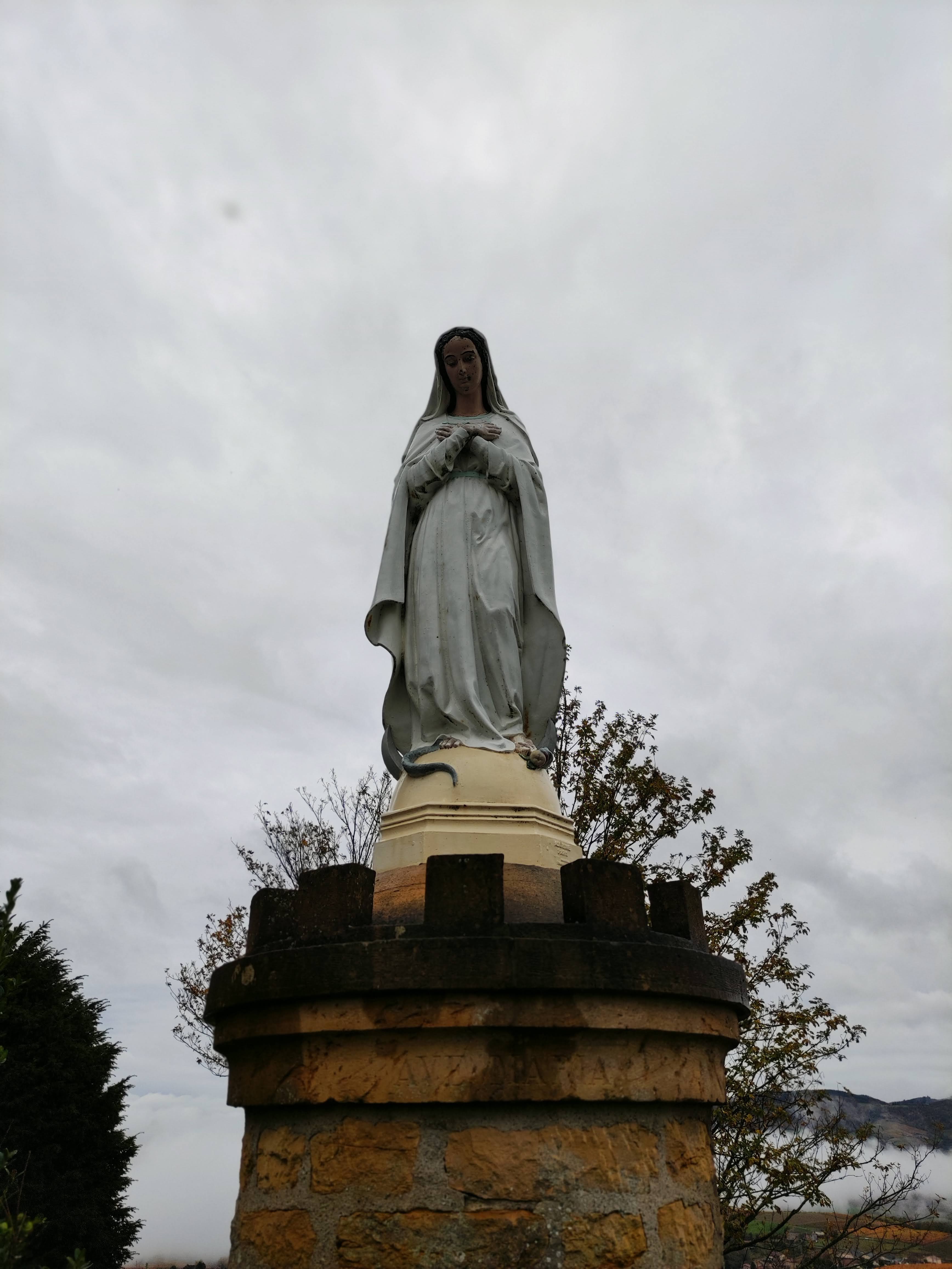 Photo n° 16 de l'avis de Anthony.a fait le 01/11/2021 à 16:22