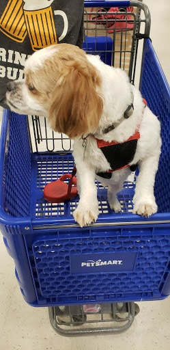 Pet Supply Store «PetSmart», reviews and photos, 30 Malphrus Rd, Bluffton, SC 29910, USA