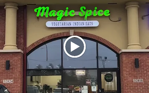 Magic Spice - Vegetarian Indian Eats image