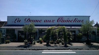 LA DAME AUX CAMELIAS à Vierzon