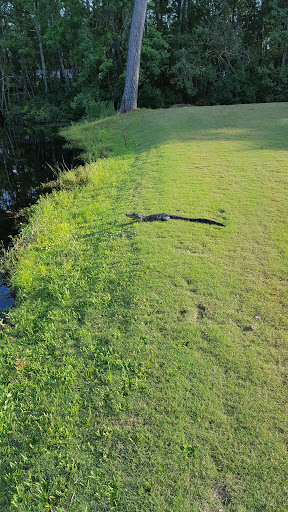 Golf Course «Founders Club at Pawleys Island», reviews and photos, 7829 Ocean Hwy, Pawleys Island, SC 29585, USA