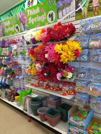 Dollar Store «Dollar Tree», reviews and photos, 4005 Manzanita Ave #32, Carmichael, CA 95608, USA