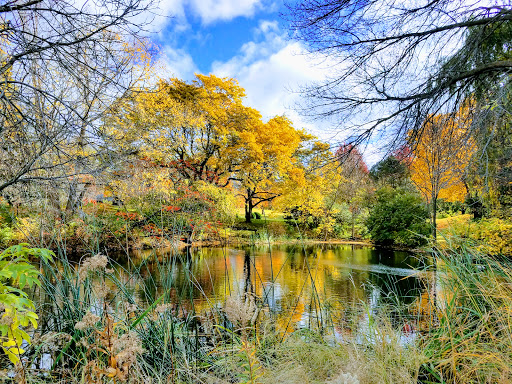 Golf Course «Birnamwood Golf Course», reviews and photos, 12424 Parkwood Dr, Burnsville, MN 55337, USA