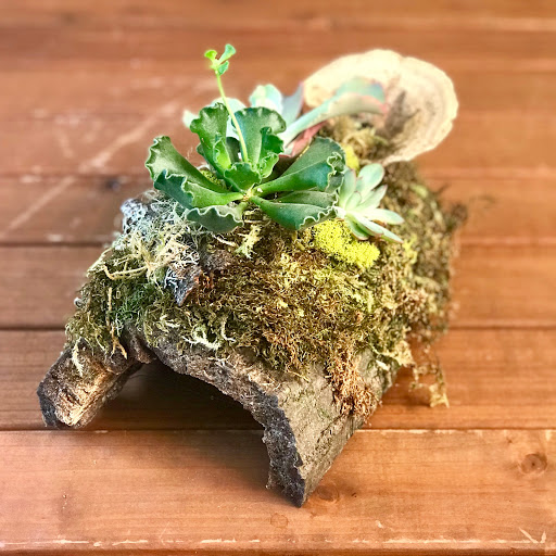 Florist «Ferrari Florist and Gifts», reviews and photos, 345 Soquel Ave, Santa Cruz, CA 95062, USA