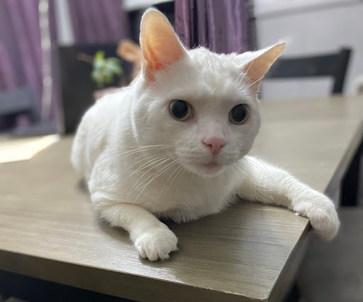 40850 Ann Arbor Rd, Plymouth, MI 48170, USA