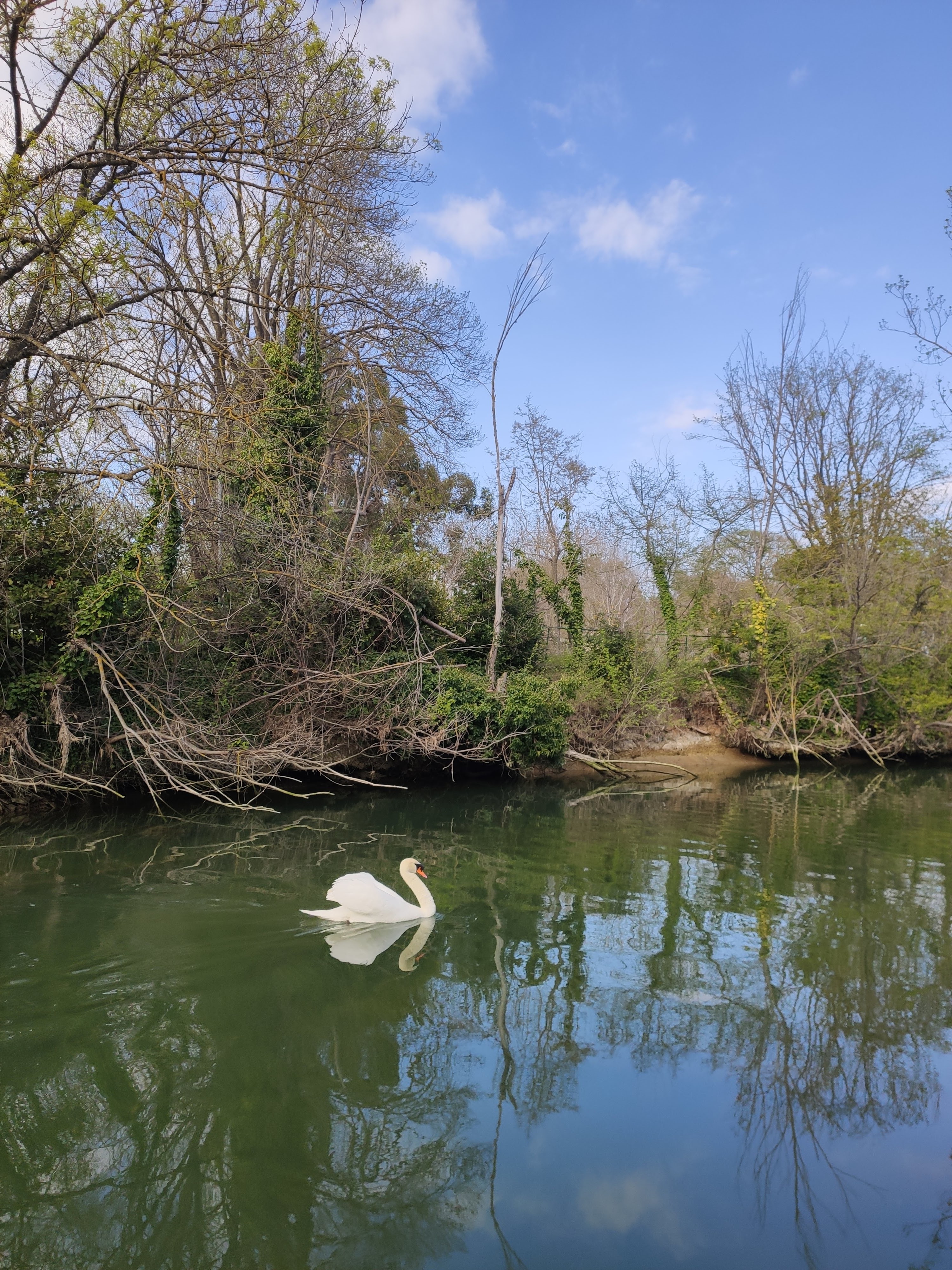 Photo n° 3 de l'avis de Mathieu.c fait le 28/03/2021 à 15:42