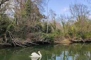 Sentier de la brague image