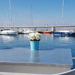 Photo n°2 de l'avis de Sandra.a fait le 02/04/2018 à 16:39 sur le  PIER à Trieste