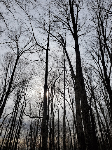 Water Park «Wetlands Water Park», reviews and photos, 1523 TN-81 Truck, Jonesborough, TN 37659, USA