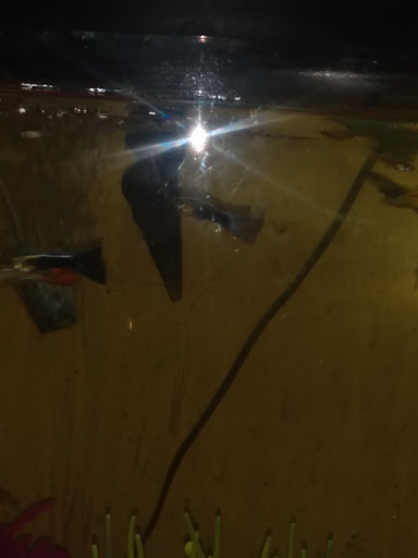 Pet Supply Store «Petco Animal Supplies», reviews and photos, 7110 Dodge St, Omaha, NE 68132, USA