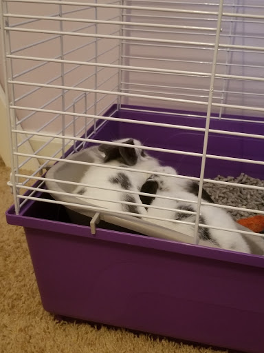 Pet Supply Store «Coastline Pet Supply», reviews and photos, 3530 Northgate Dr, Myrtle Beach, SC 29588, USA