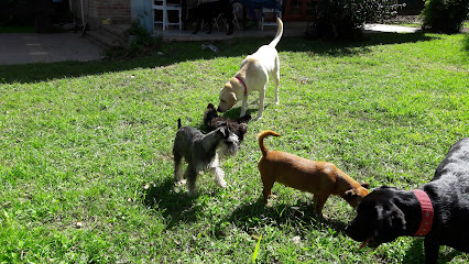 Club Canino Salta - Guardería Perros en Grand Bourg, Salta
