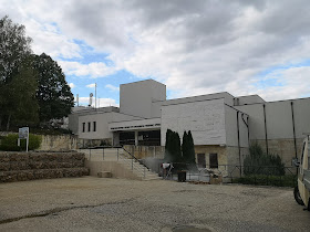 Природонаучен музей Сребърна