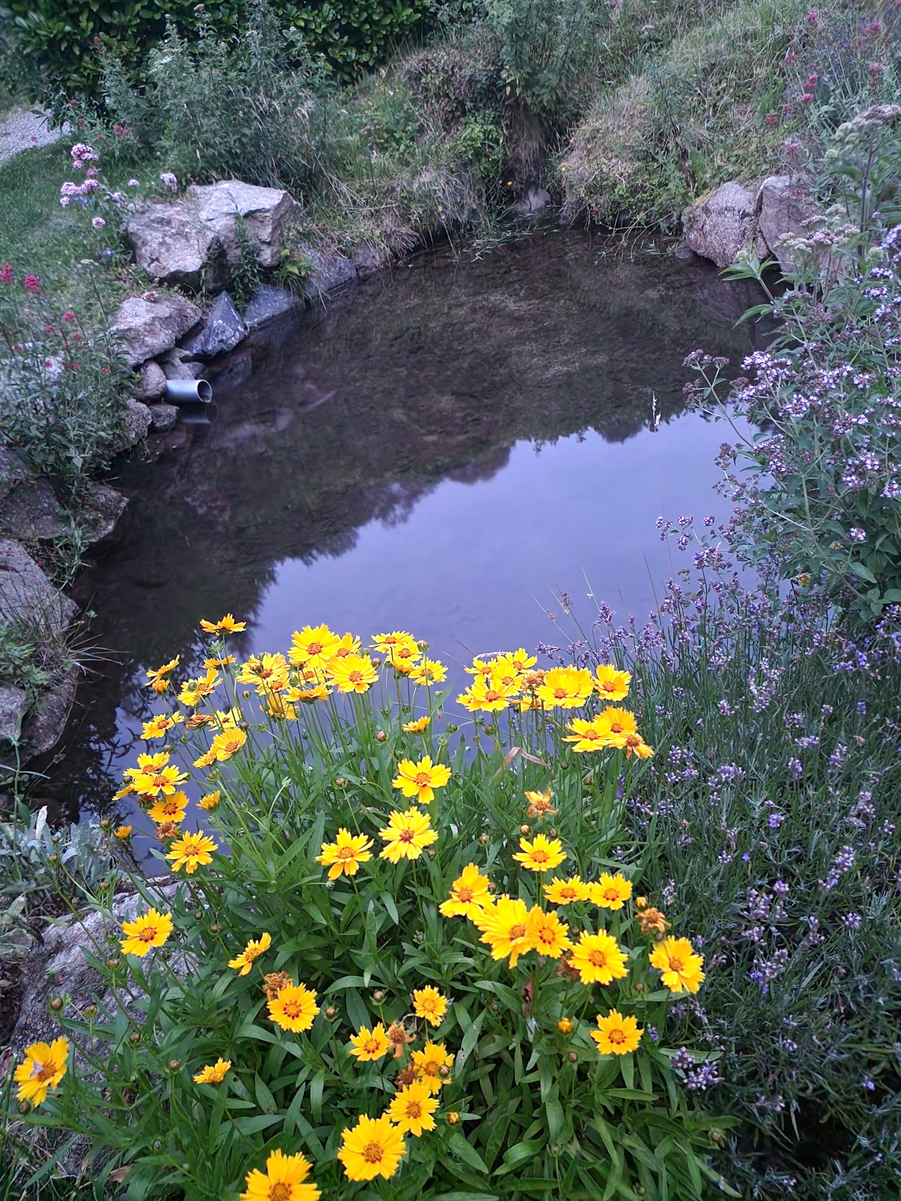 Photo n° 10 de l'avis de Restaurant.e fait le 12/07/2023 à 05:58