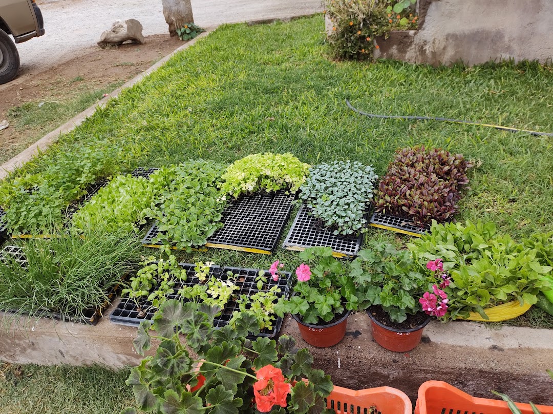 Agro jardin